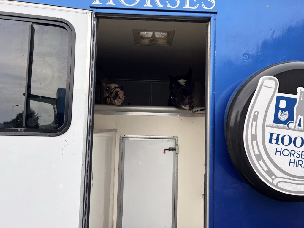 Roadside Rescue