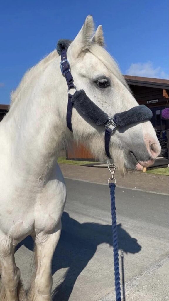 Handsome Boy Breeze