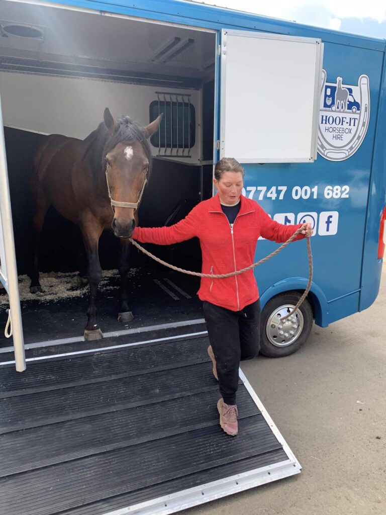 Equine Vet Clinic - Holly