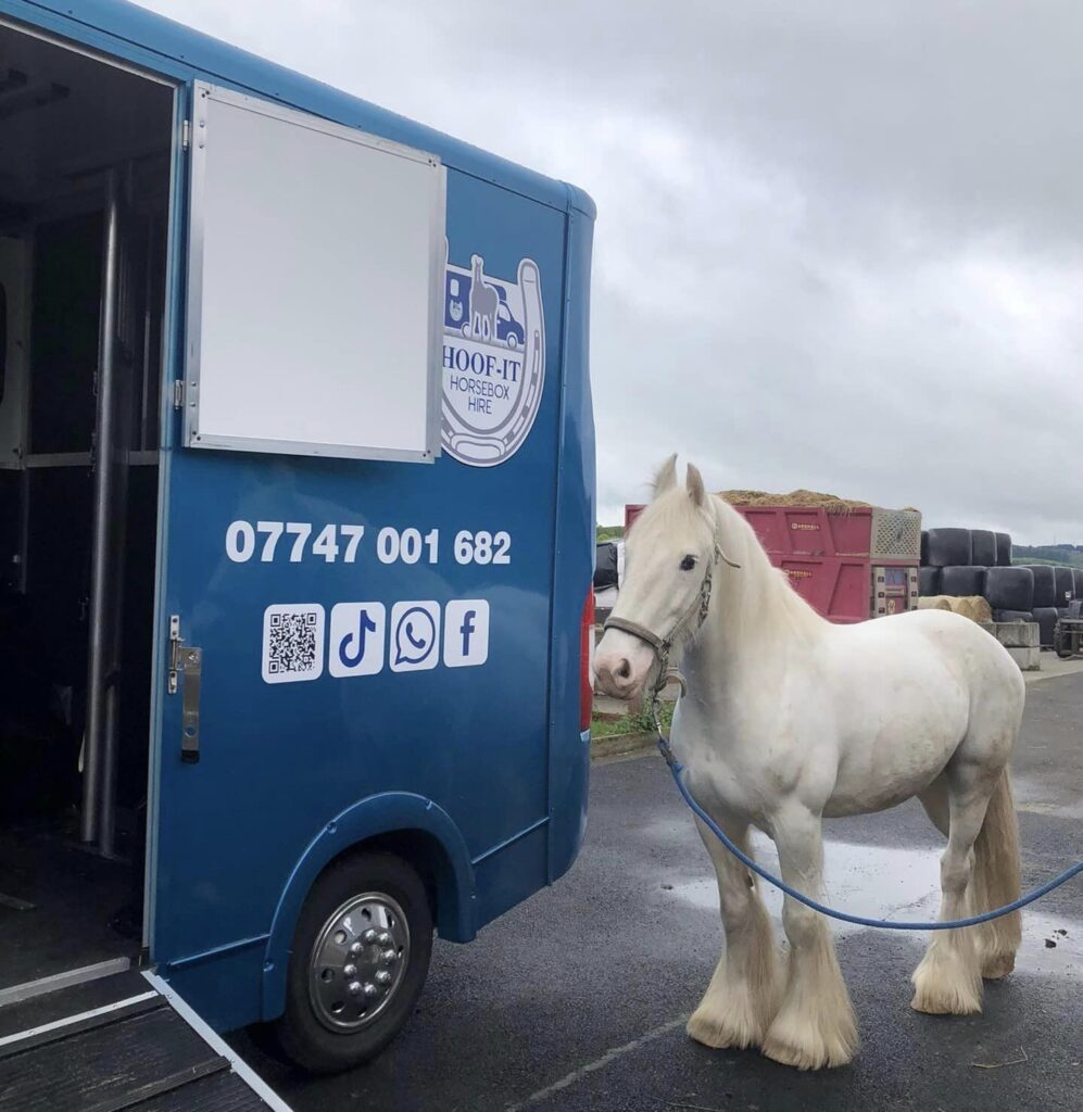 Grey Pony Load Test
