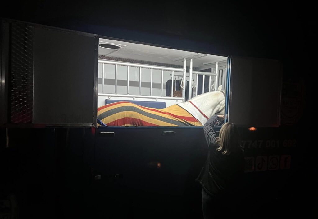 Assisting ERS with some special horses