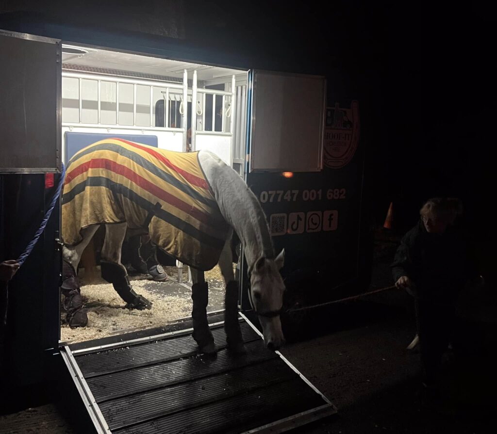Assisting ERS with some special horses