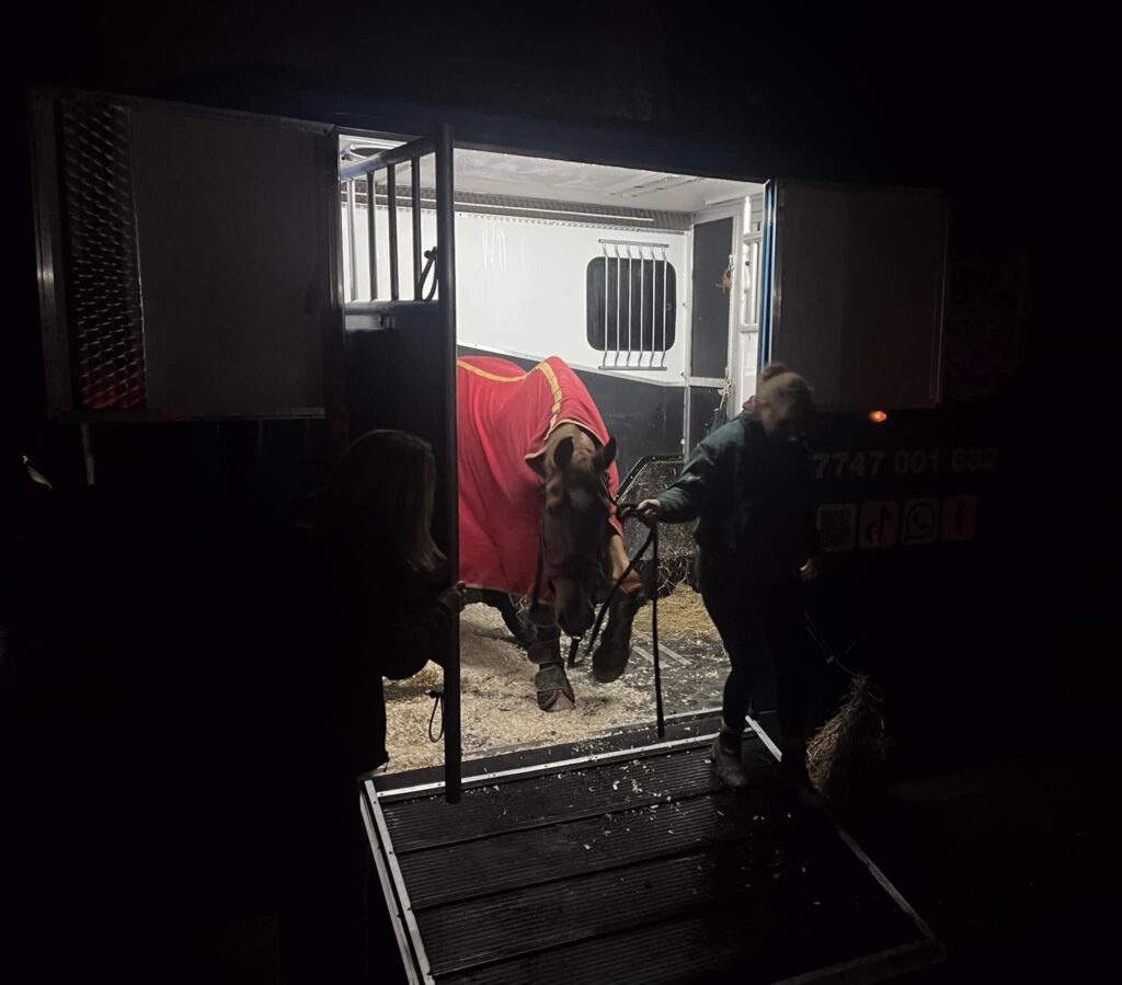 Assisting ERS with some special horses